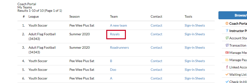 team name