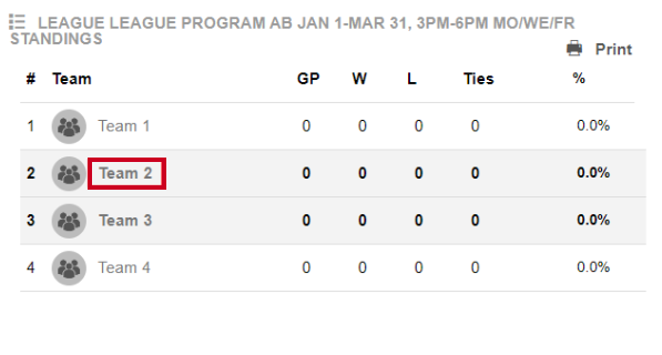 Rec Dashboard Team.png