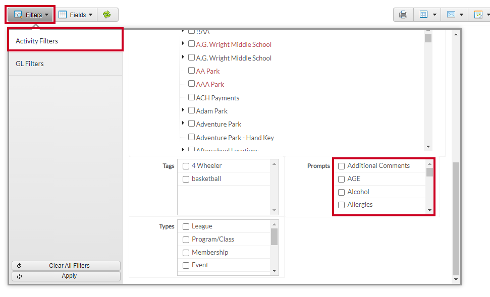 Rec Reports Filters Activity Filters Prompts Options.png