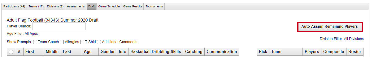 auto-assign remaining players