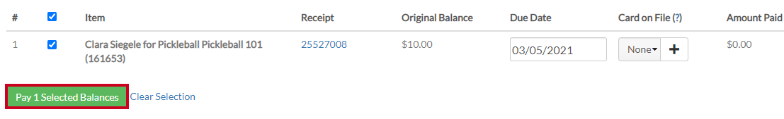 pay selected balances