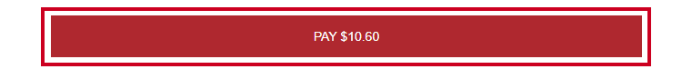 pay braintree public