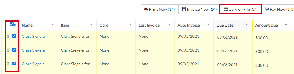 selection boxes and card on file button