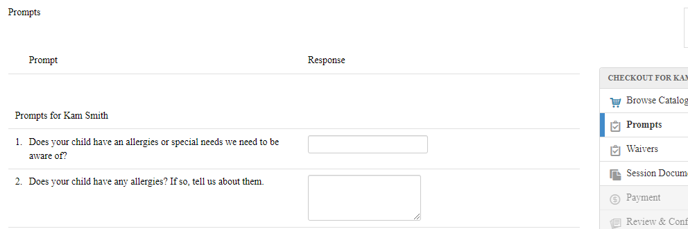 prompts