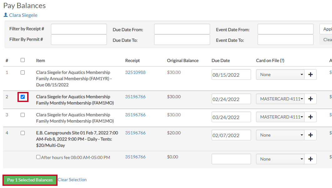 pay selected balances
