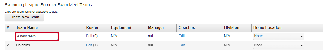 team name