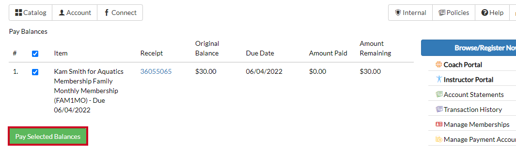 pay selected balances