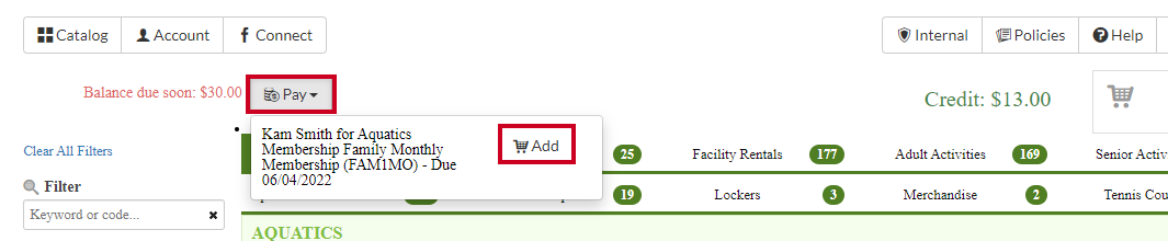 pay balance